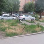IMG_3764[1]