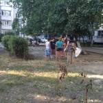 субботник (5)