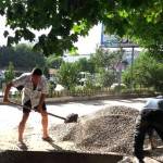 IMG-20160729-WA0017
