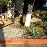 IMG-20160729-WA0019